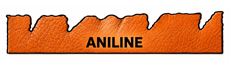 Full aniline leather surface illustration