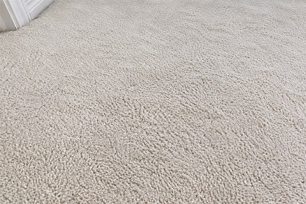 The same carpet after professional cleaning, looking fresh and clean
