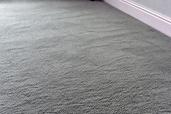 Same carpet after professional cleaning