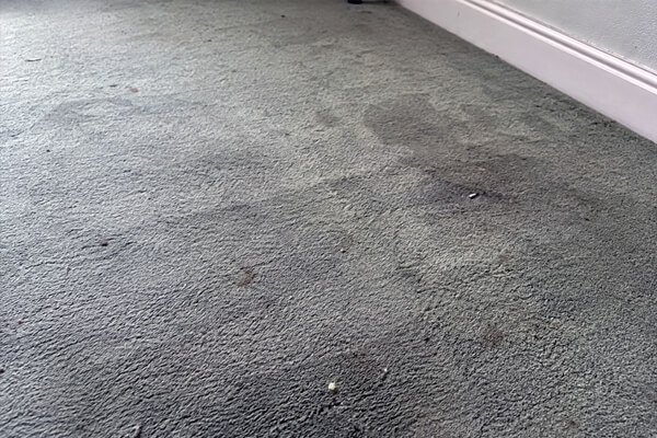 Carpet before professional cleaning in Rugby
